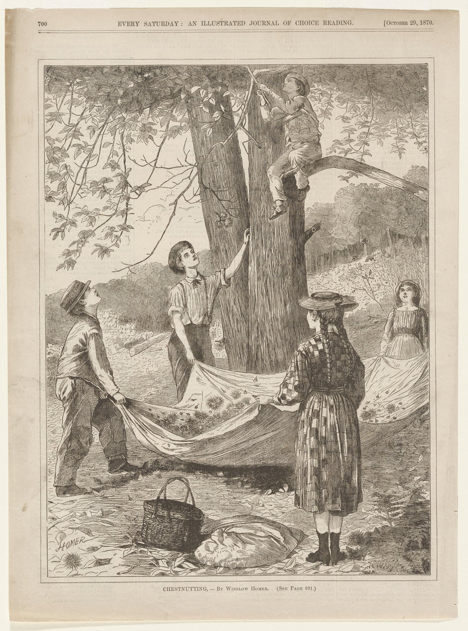 Apanha de castanhas de Winslow Homer