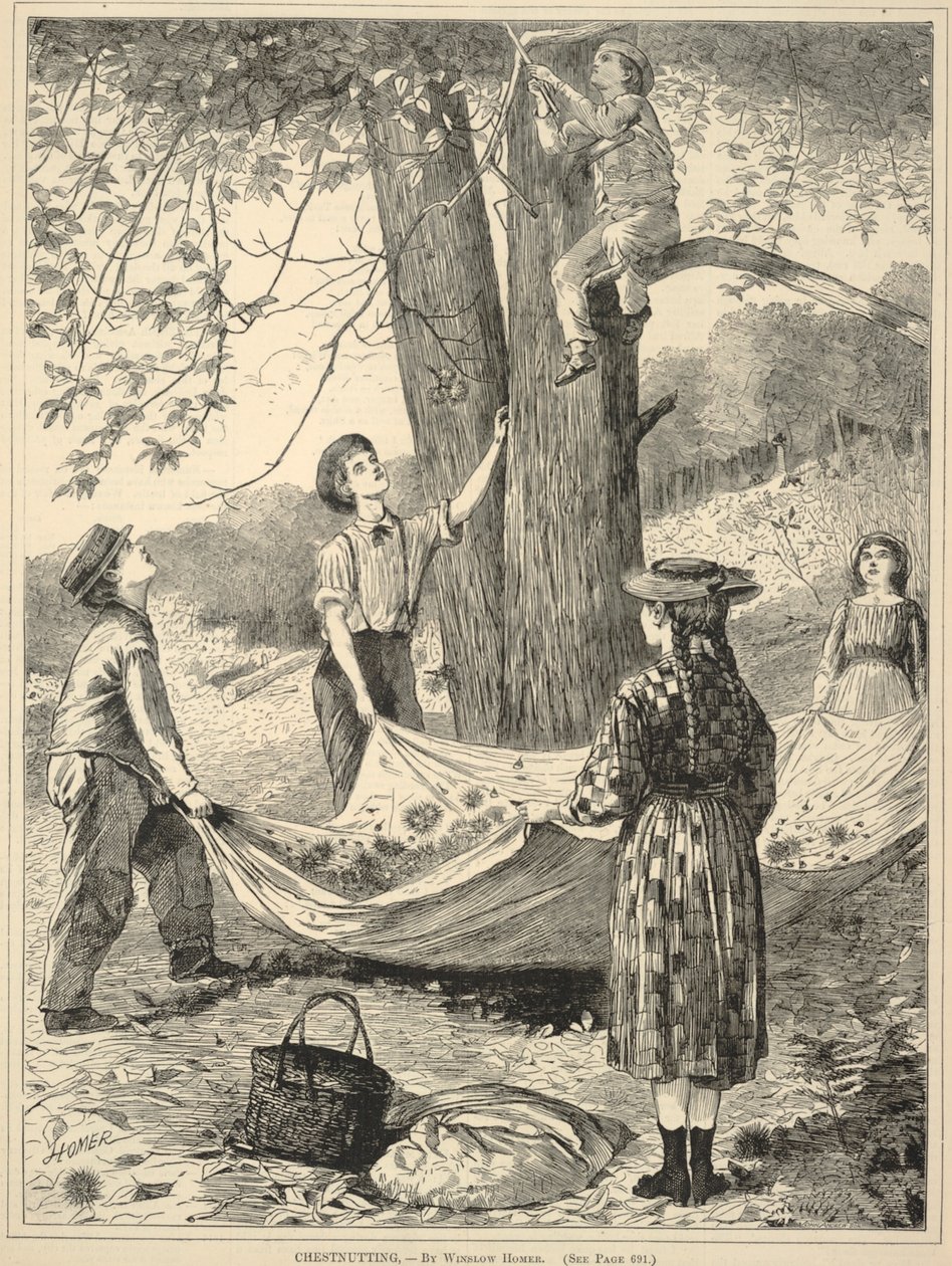 Chestnutting, de Every Saturday: An Illustrated Journal of Choice Reading, 29 de outubro de 1870 de Winslow Homer