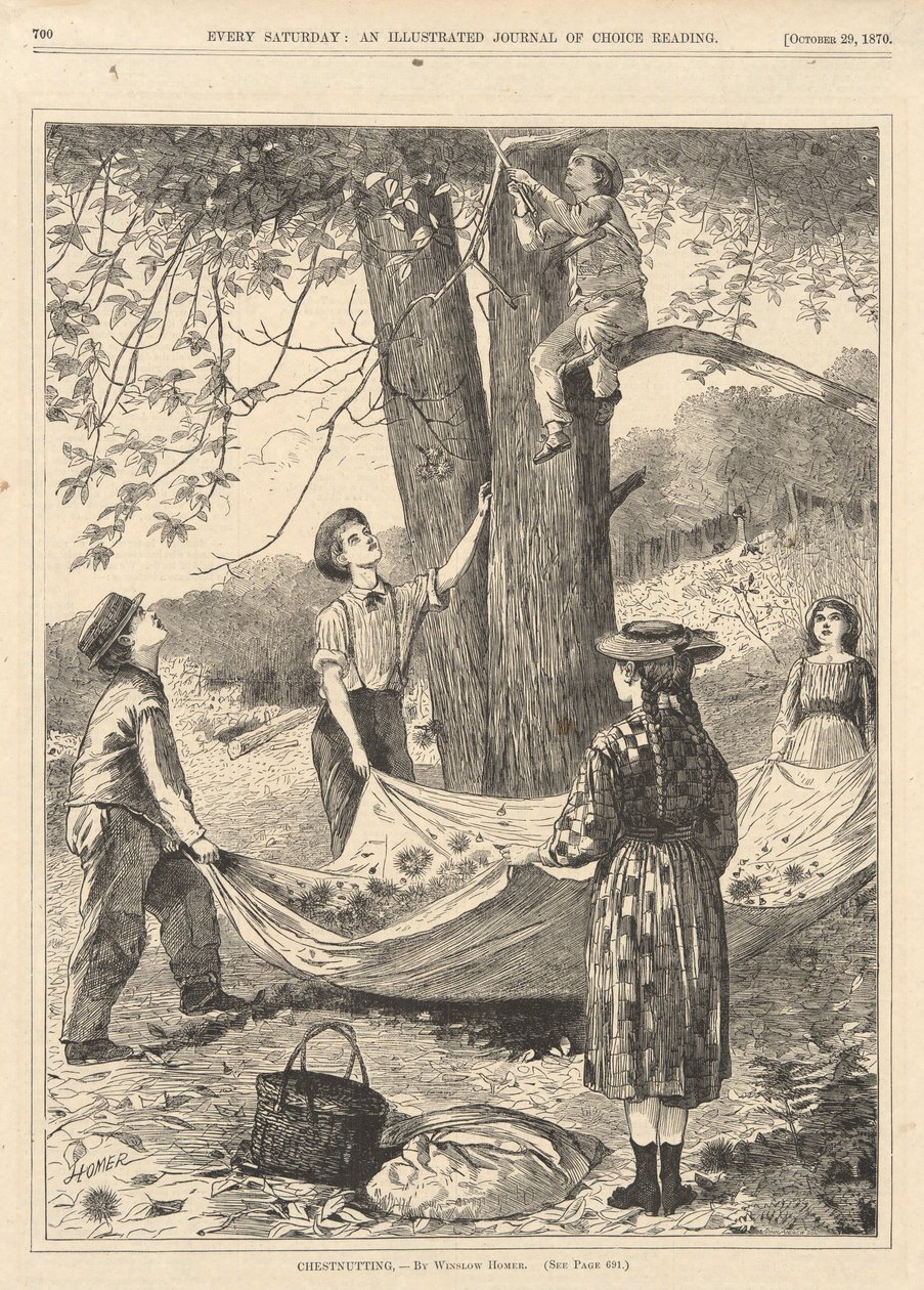 Castanheiro, de Todos os Sábados, 29 de Outubro de 1870 de Winslow Homer
