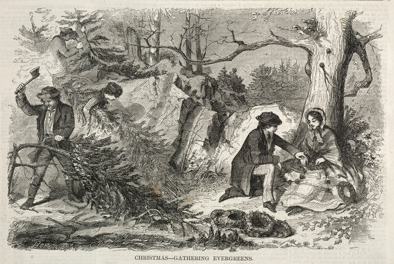 Natal – Árvores perenes para a época festiva de Winslow Homer