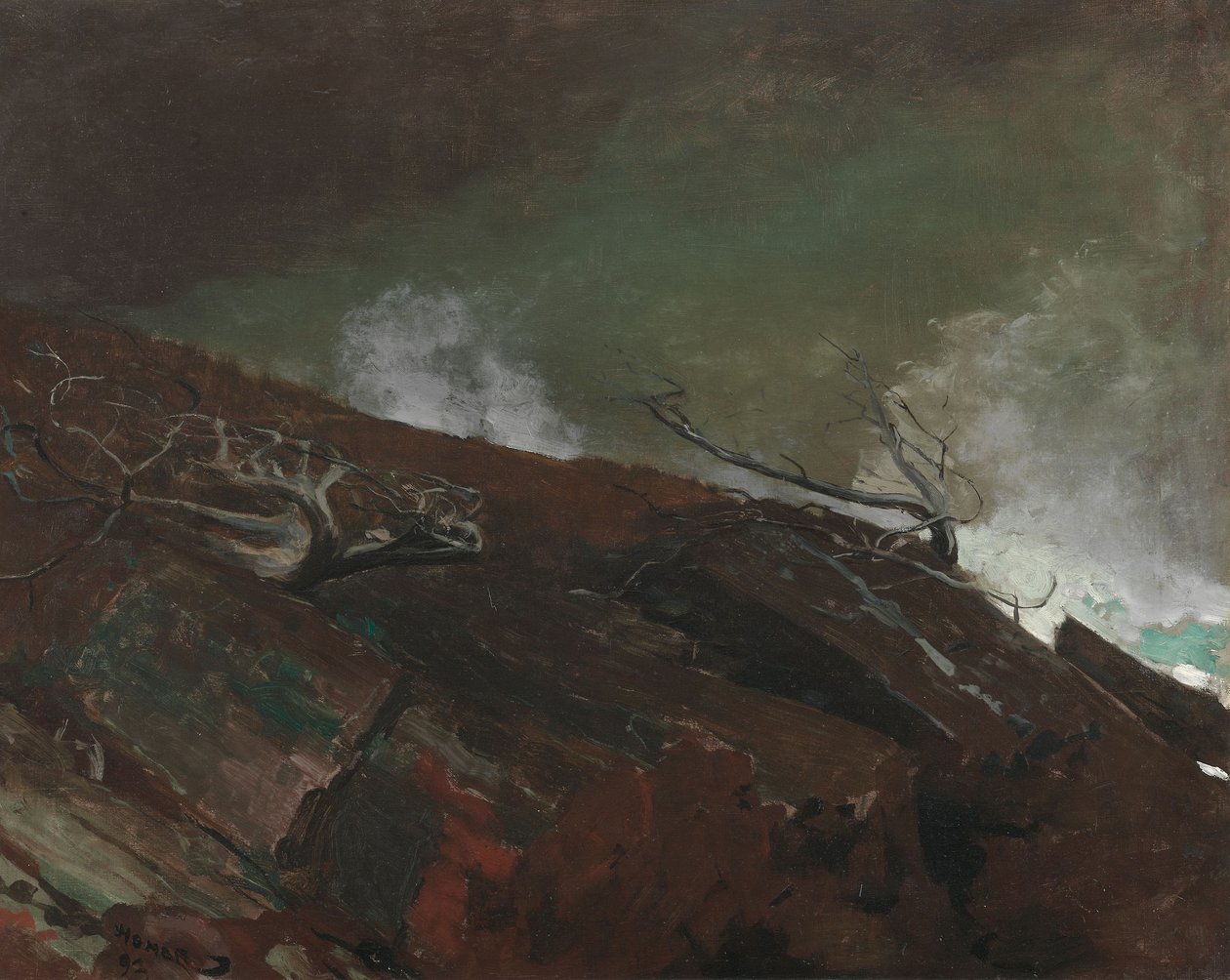 Costa do Maine de Winslow Homer
