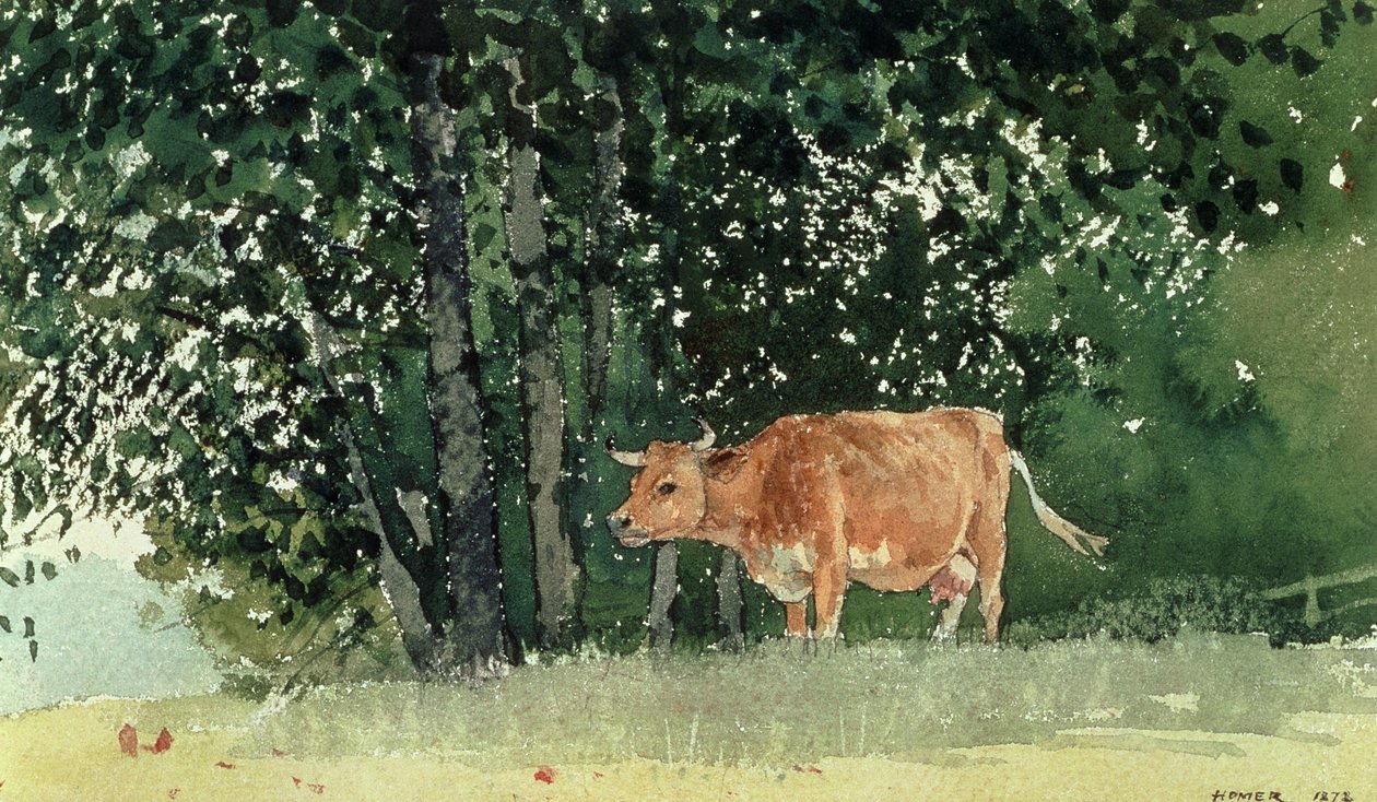 Vaca no pasto, 1878 de Winslow Homer