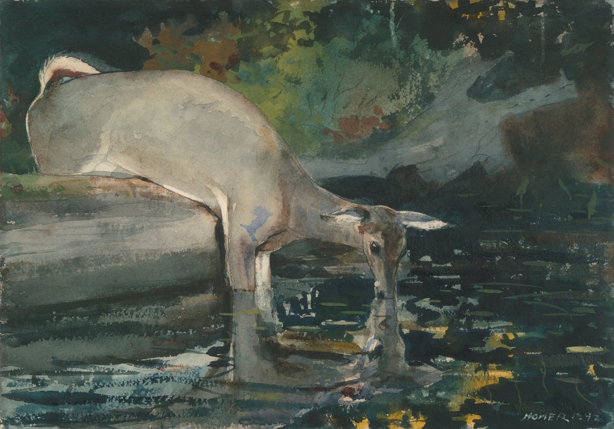 Beber veado de Winslow Homer