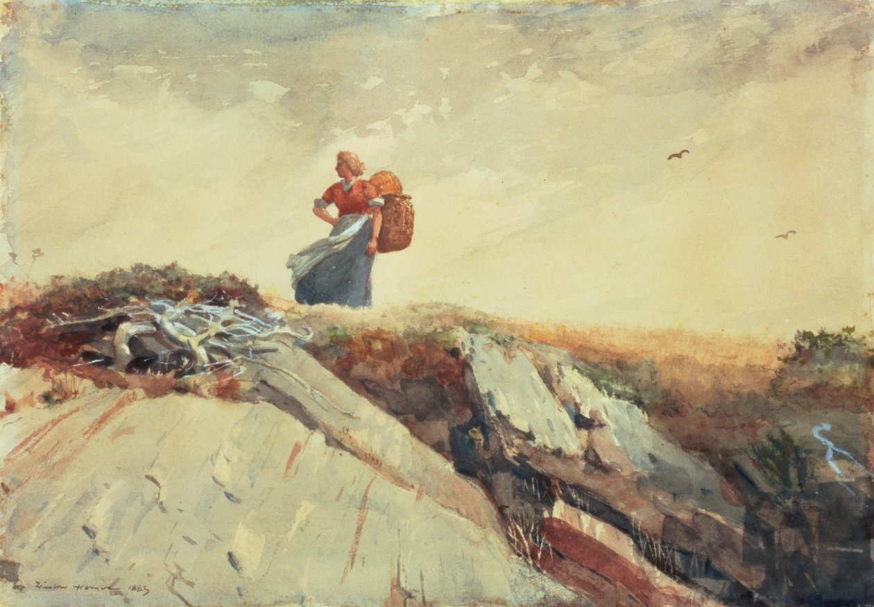 Abaixo do penhasco, 1883 de Winslow Homer