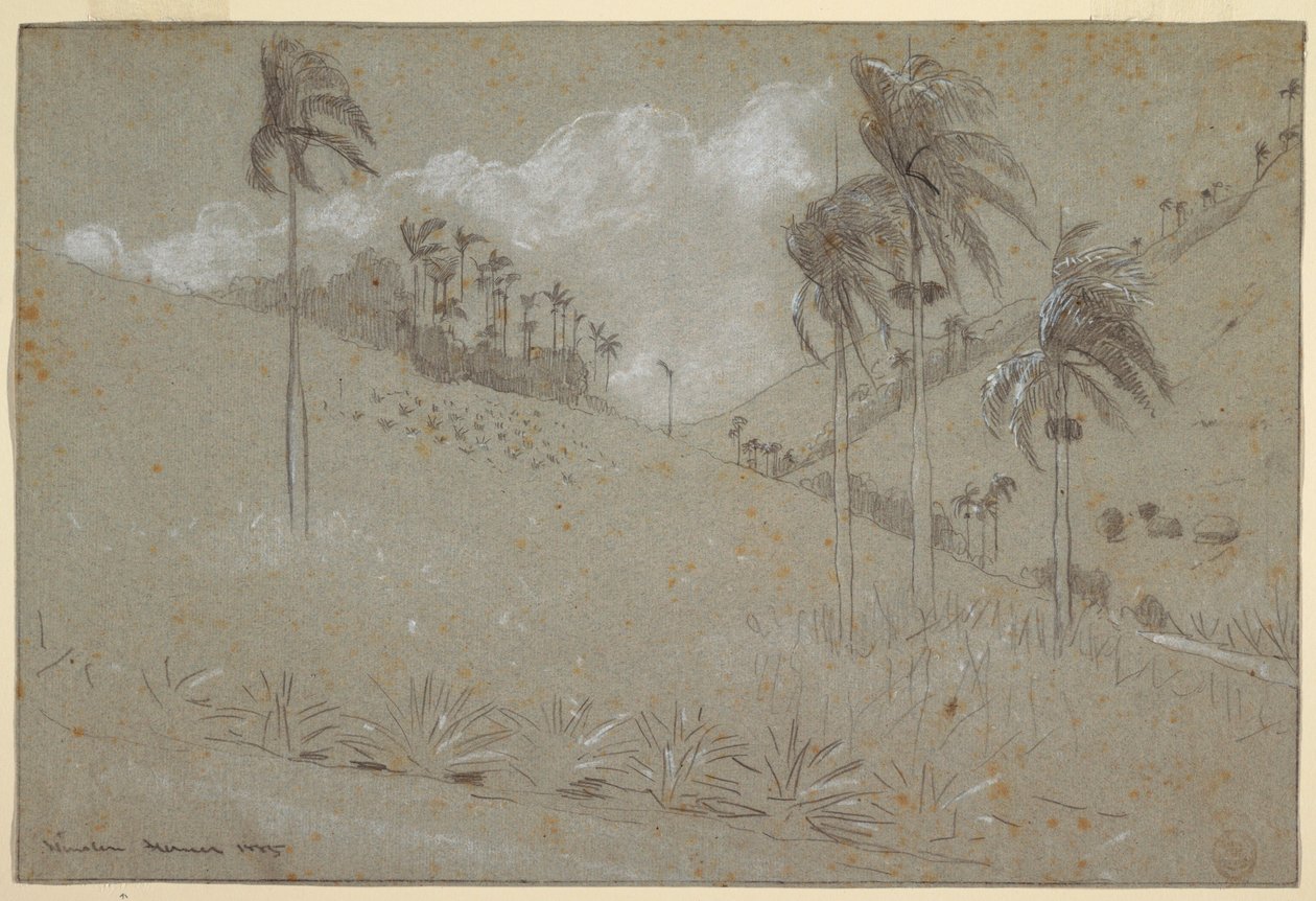 Desenho, encosta cubana, 1885 de Winslow Homer
