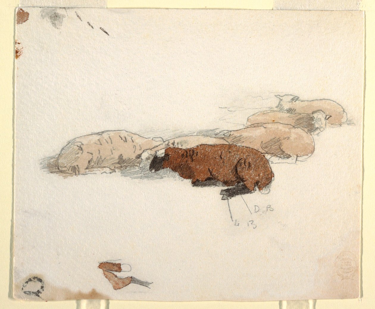 Desenho, Ovelhas a descansar, 1878 de Winslow Homer