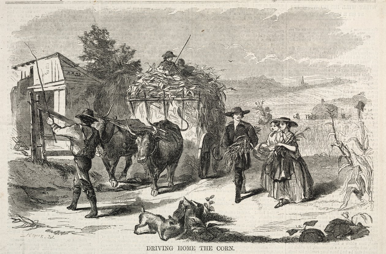 Conduzir o milho para casa de Winslow Homer