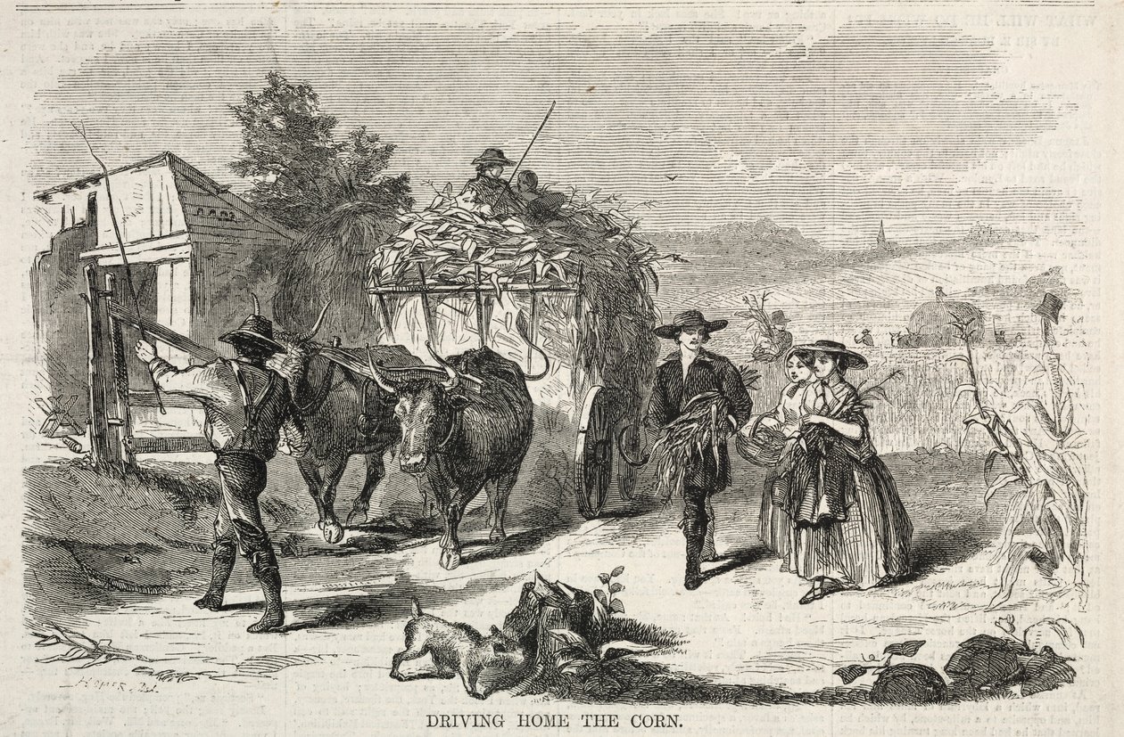 Dirigindo para casa o milho, 1858. de Winslow Homer