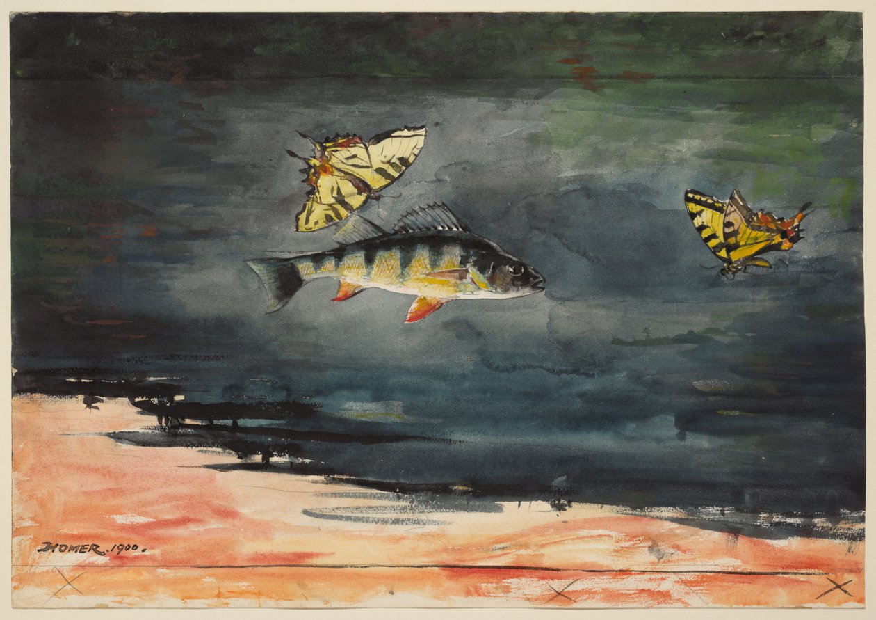 Peixes e borboletas de Winslow Homer