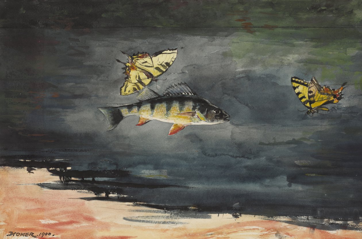 Peixes e borboletas, 1900 de Winslow Homer