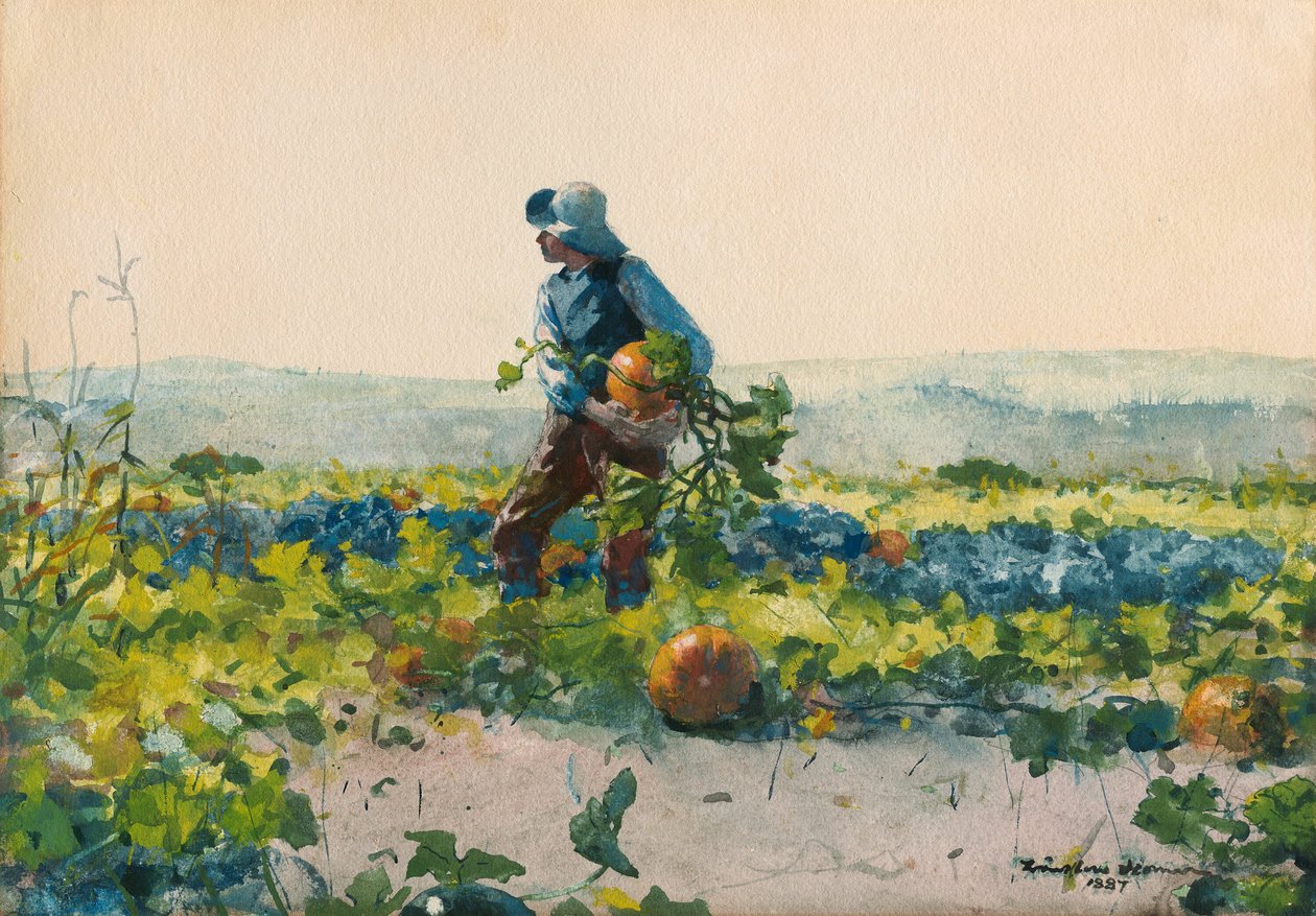 Para ser um rapaz agricultor de Winslow Homer