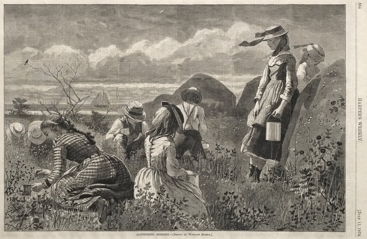 Colheita de bagas de Winslow Homer