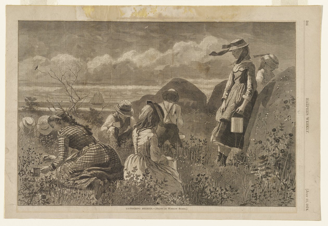 Colheita de bagas de Winslow Homer