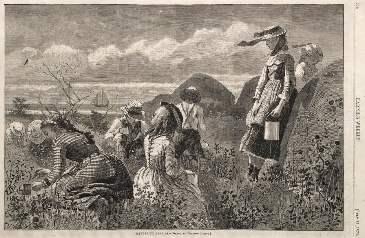 Recolhendo Bagas, 1874. de Winslow Homer