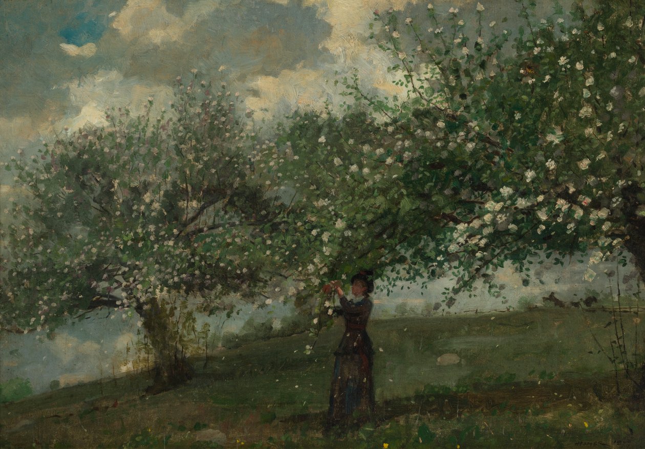 Girl Picking Apple Blossoms, 1879. de Winslow Homer