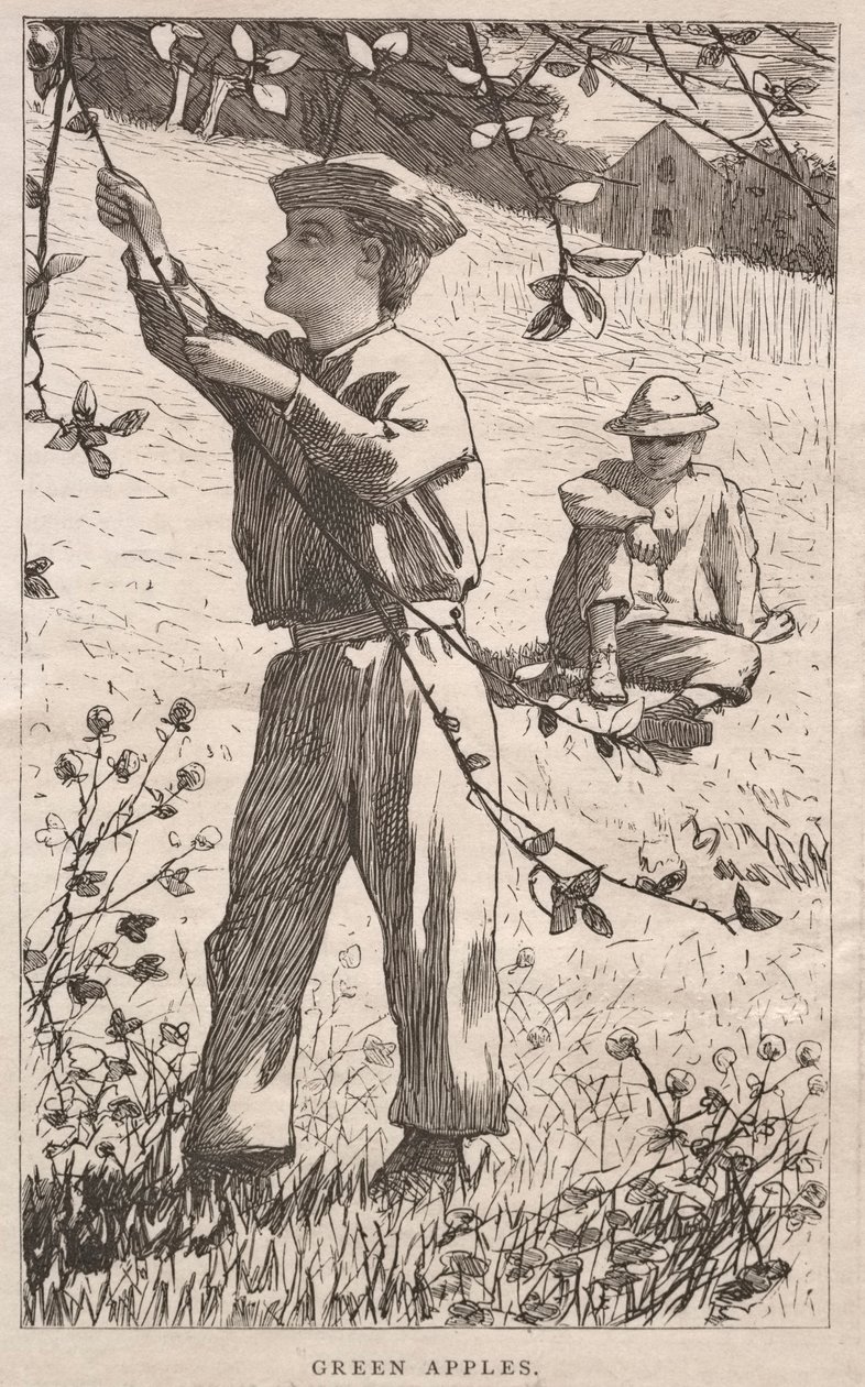 Maçãs verdes de Winslow Homer