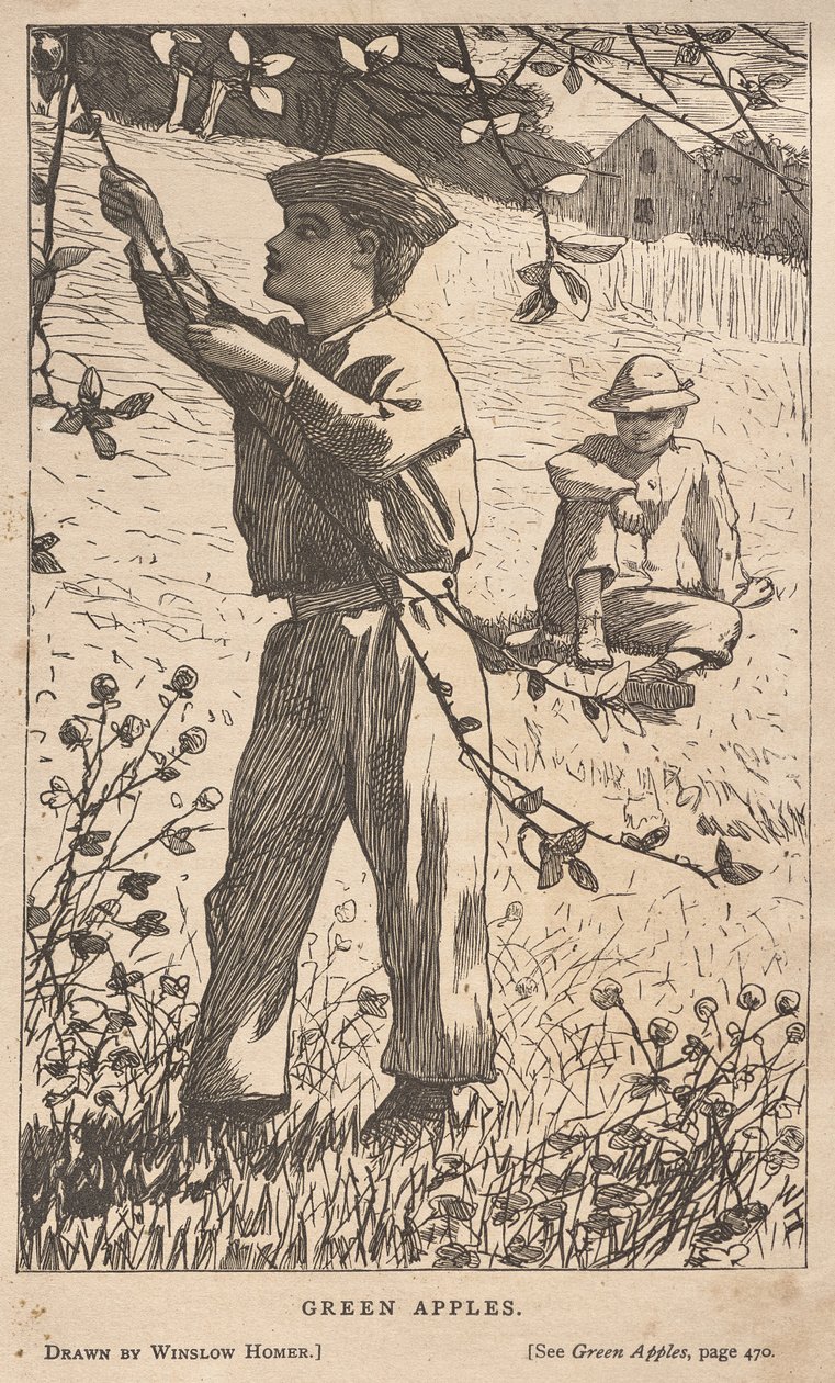 Maçãs verdes de Winslow Homer