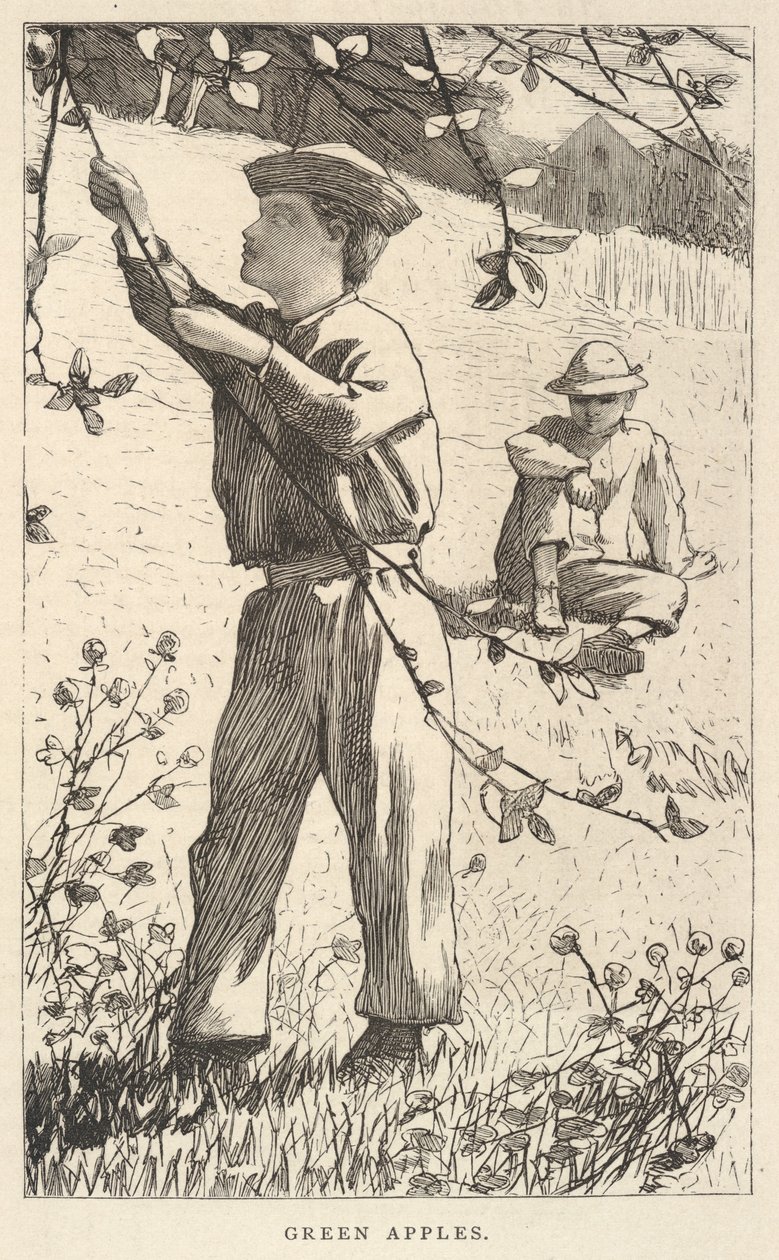 Maçãs verdes, de Our Young Folks, agosto de 1868 de Winslow Homer