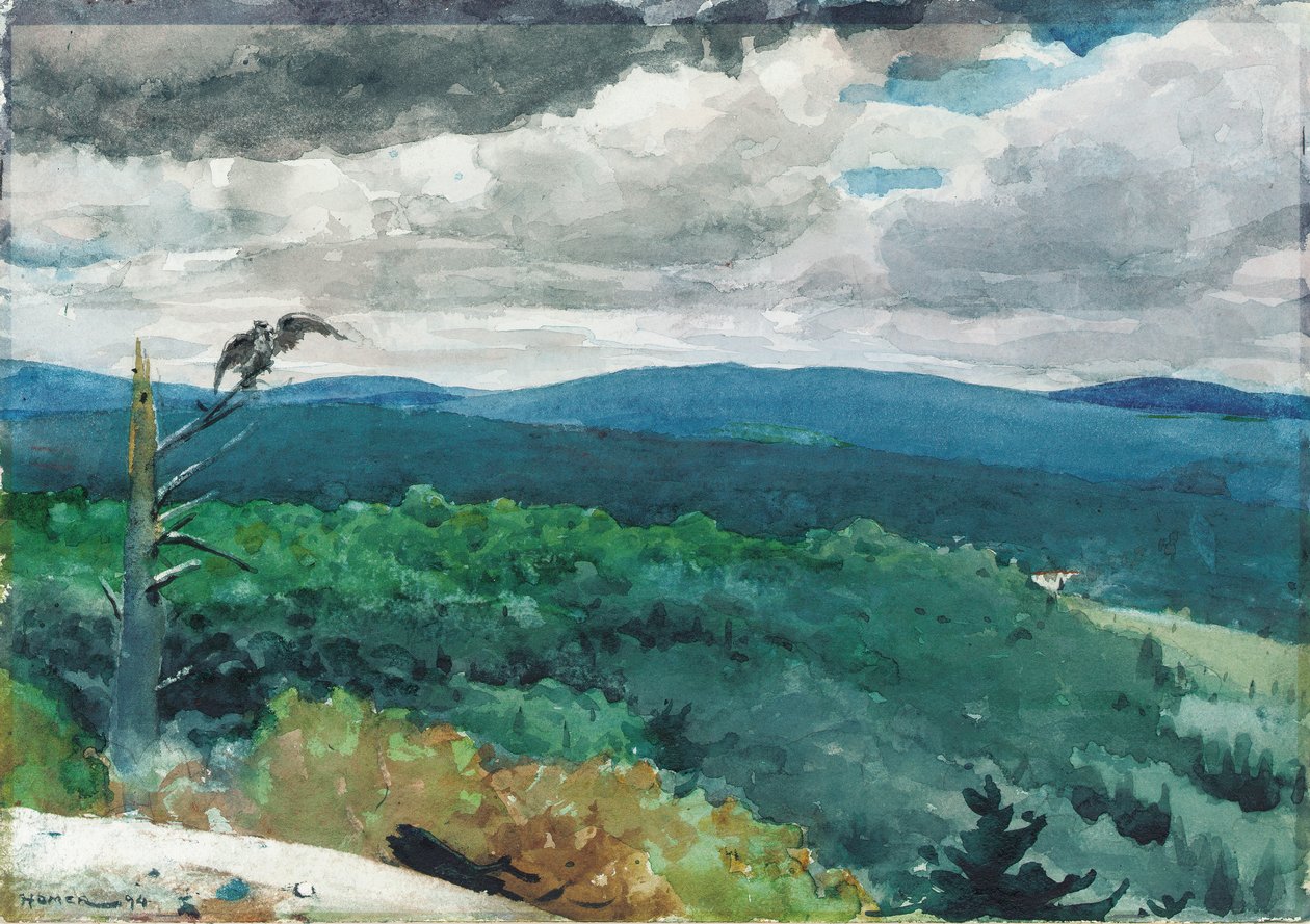 Paisagem montanhosa, 1894 de Winslow Homer