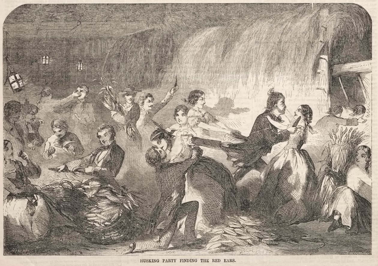 Festa de descasque à procura de orelhas vermelhas de Winslow Homer