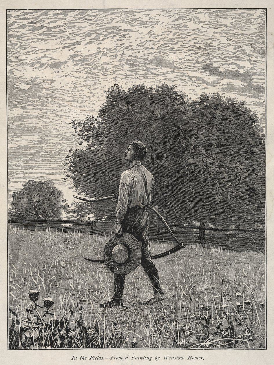Nos campos. de Winslow Homer