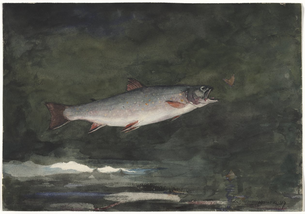 Truta Saltitante de Winslow Homer