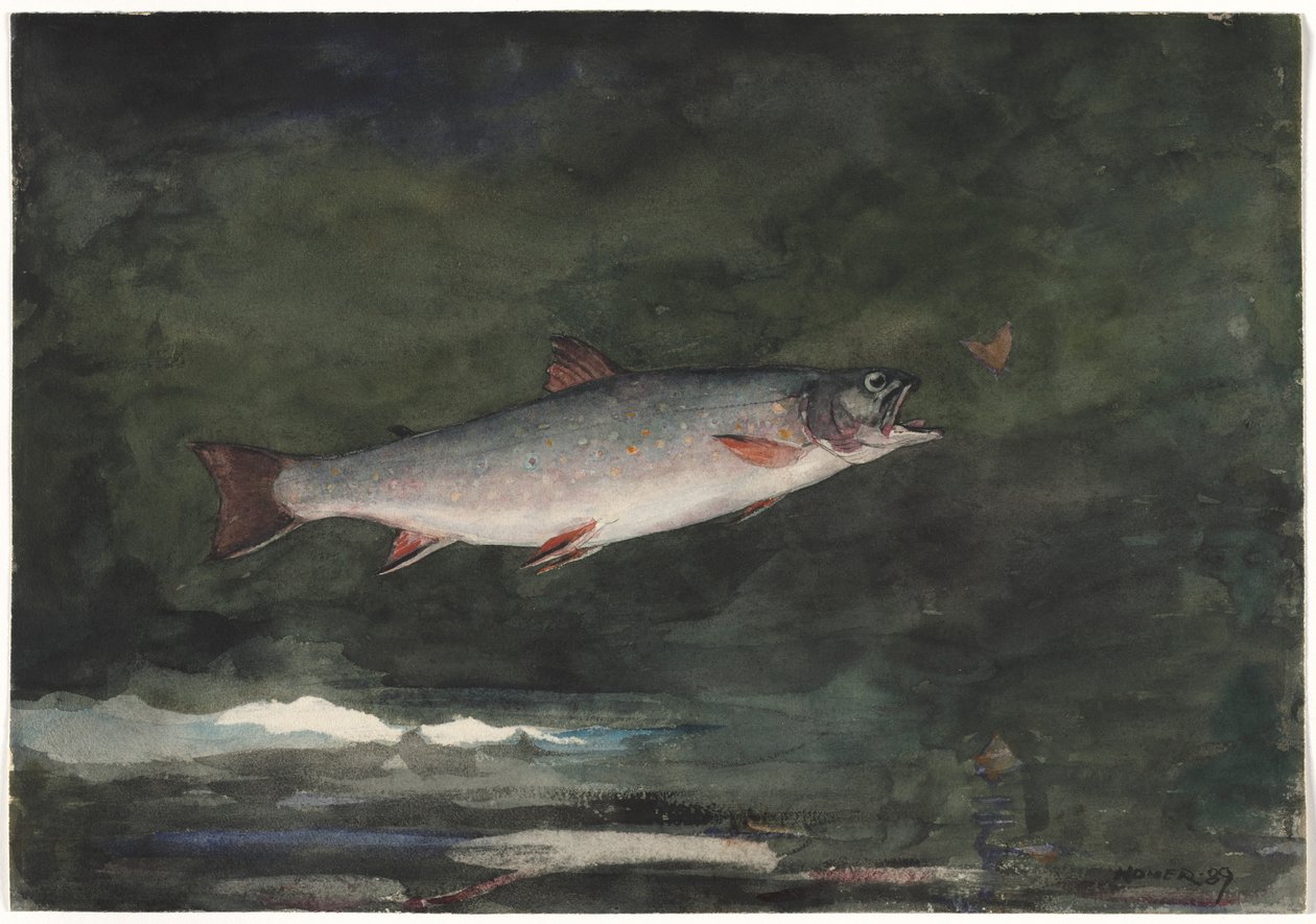 Saltando Truta, 1889. de Winslow Homer