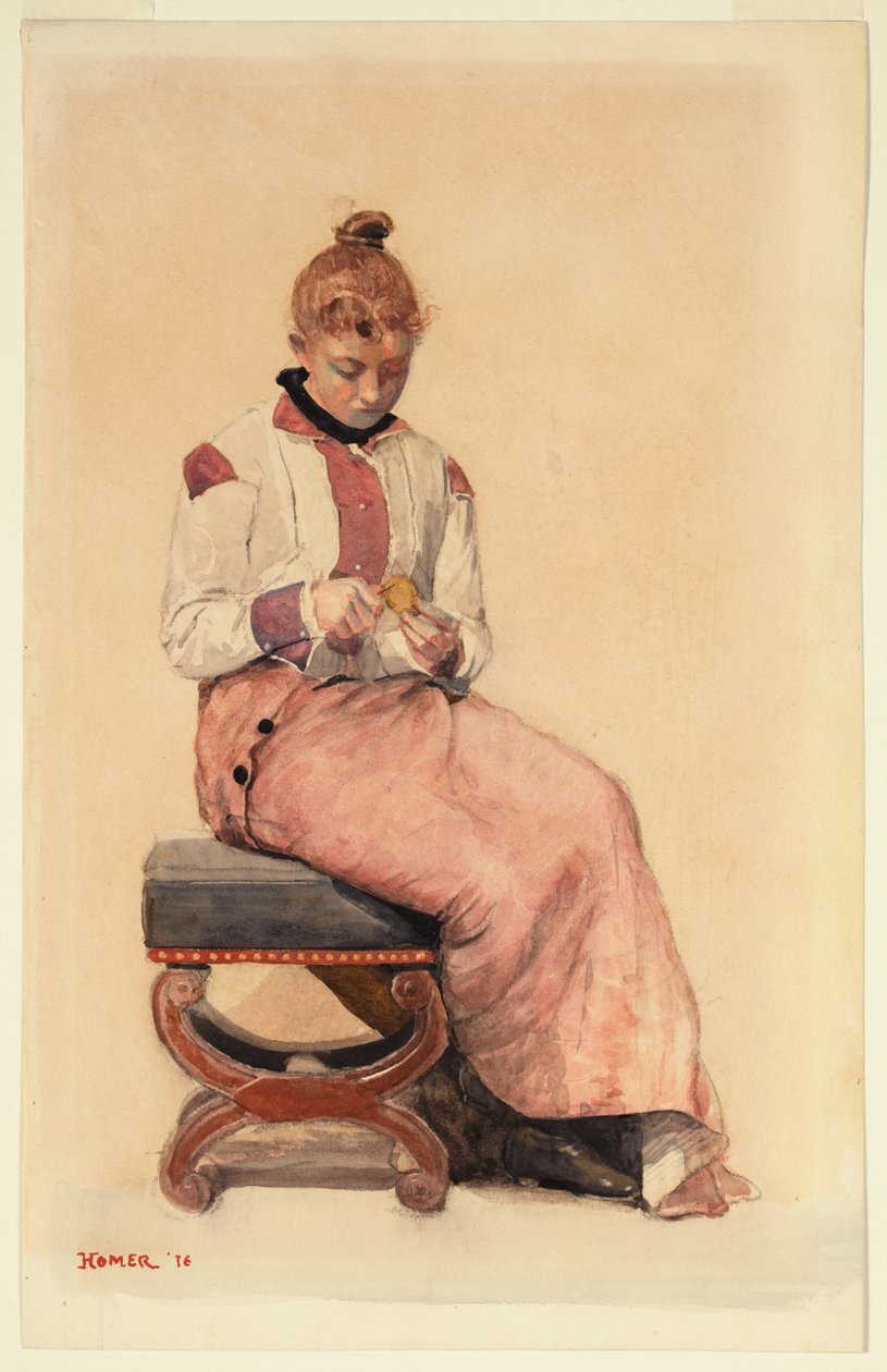 Limão de Winslow Homer