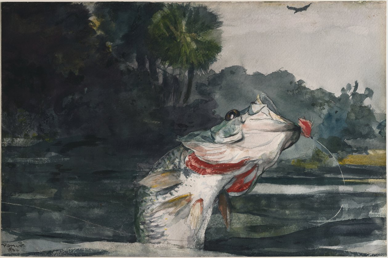 Robalo preto em tamanho real de Winslow Homer