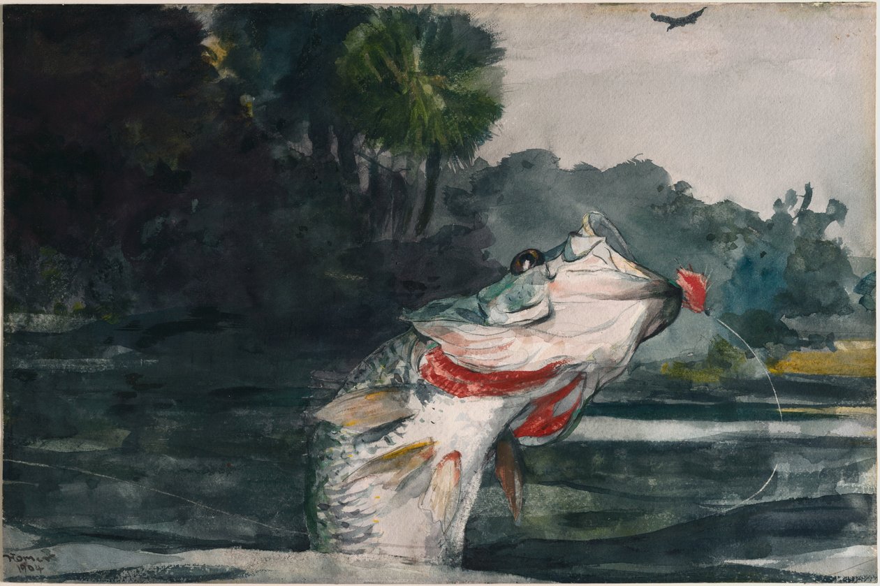 Robalo preto em tamanho real de Winslow Homer