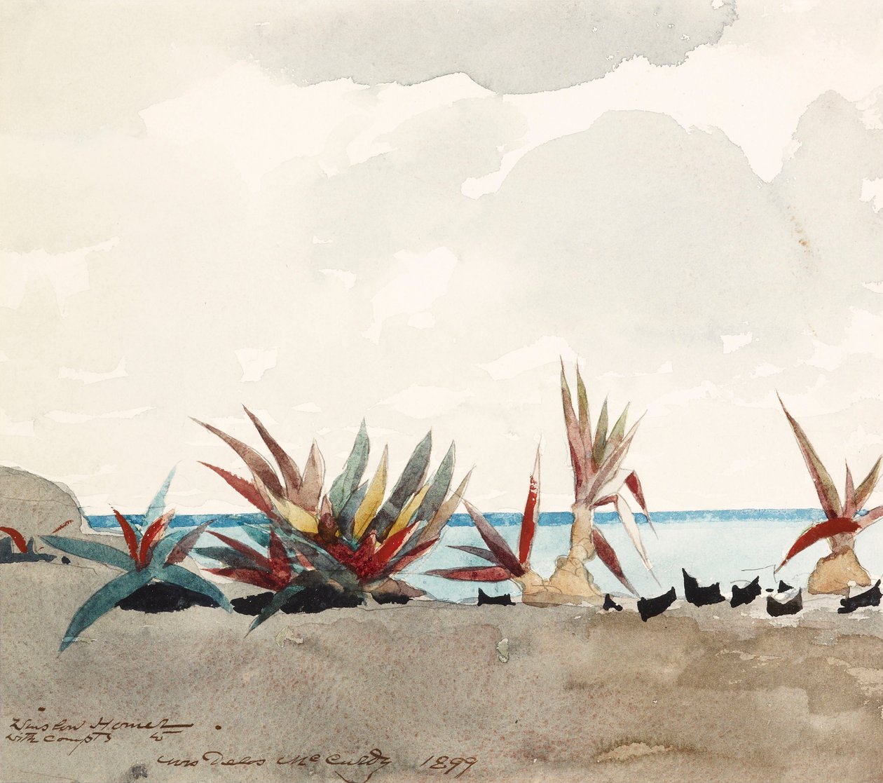 Praia de Nassau com agaves de Winslow Homer