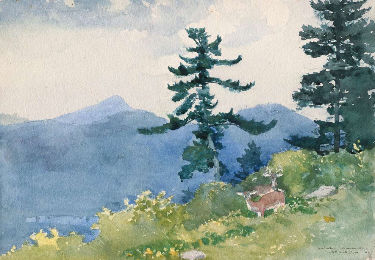 Clube North Woods, Adirondacks (O Tete-a-Tete Interrompido) de Winslow Homer