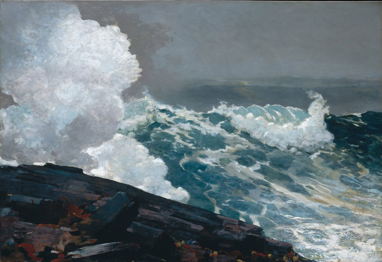 Nordestino de Winslow Homer