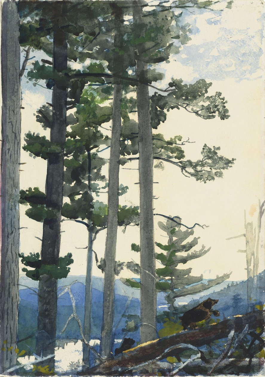 Antigos colonos de Winslow Homer
