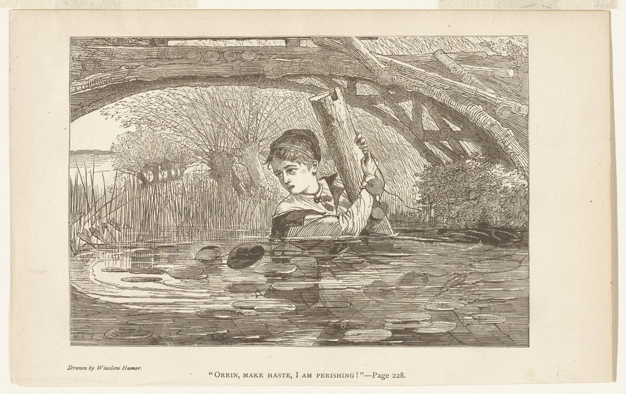 Orrin, apressa-te, estou a perecer de Winslow Homer