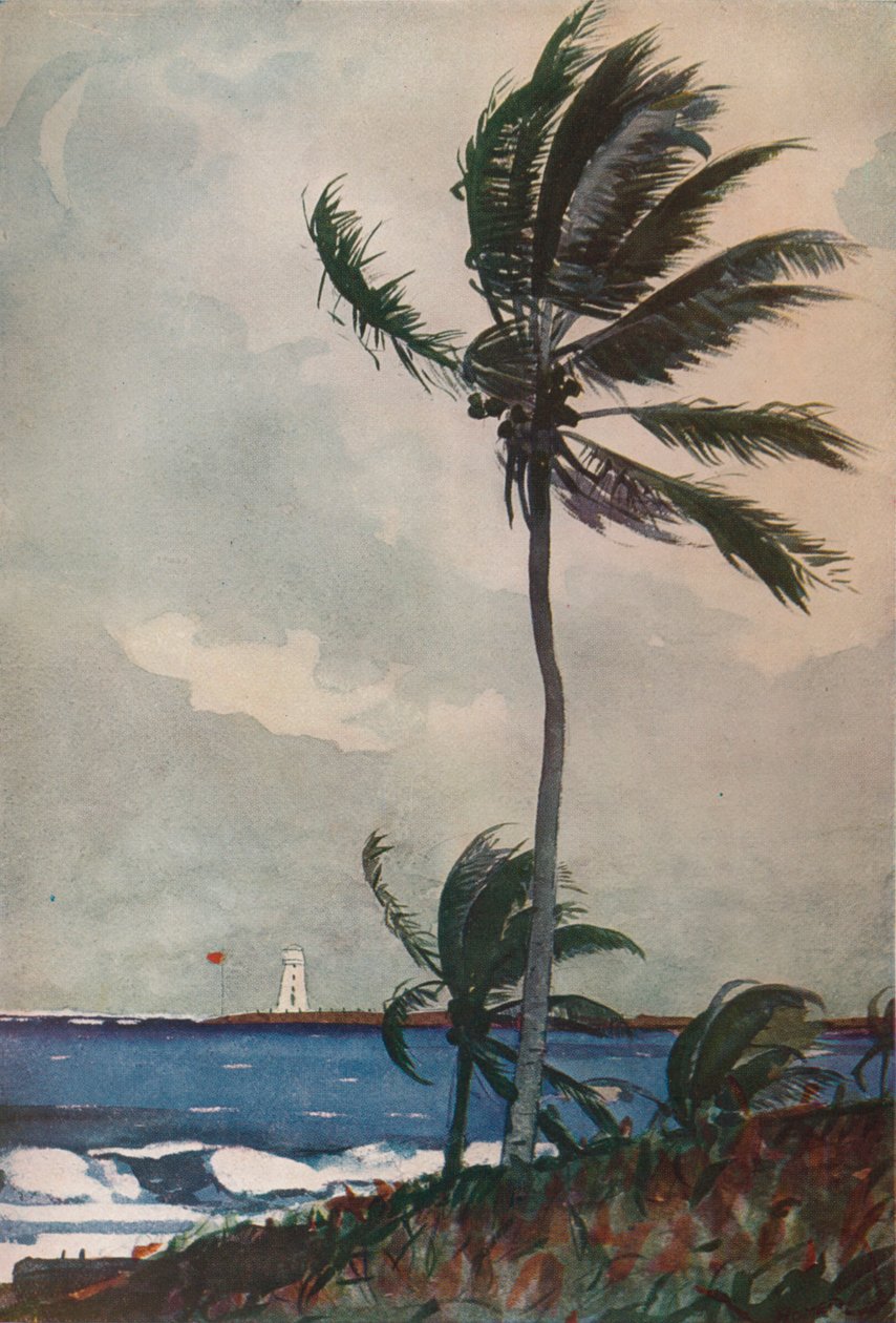 Palmeiras, Nassau, 1898, 1932 de Winslow Homer