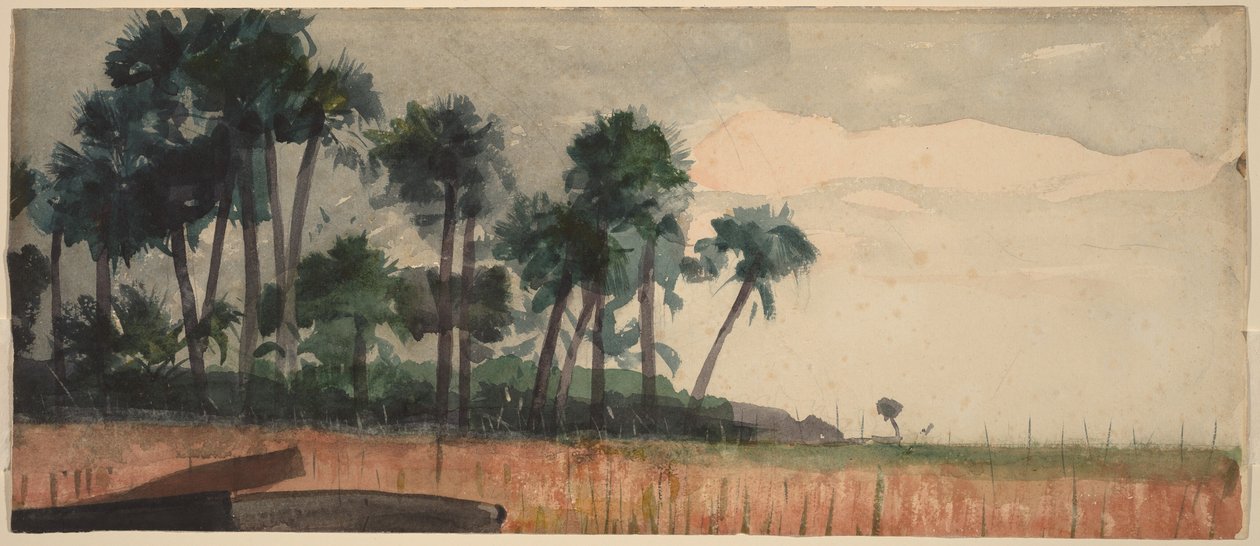 Palmeiras vermelhas de Winslow Homer