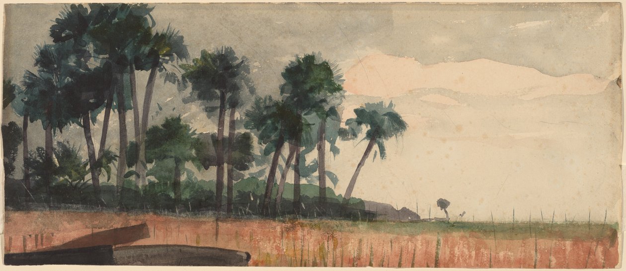 Palmeiras, Vermelho, 1890. de Winslow Homer