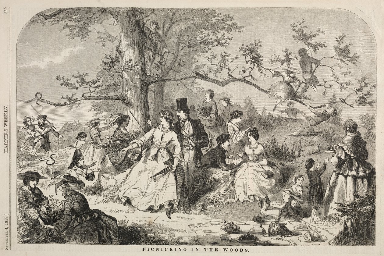 Piquenique na floresta de Winslow Homer