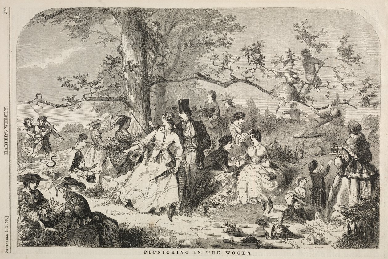 Picknicking in the Woods, 1858. de Winslow Homer