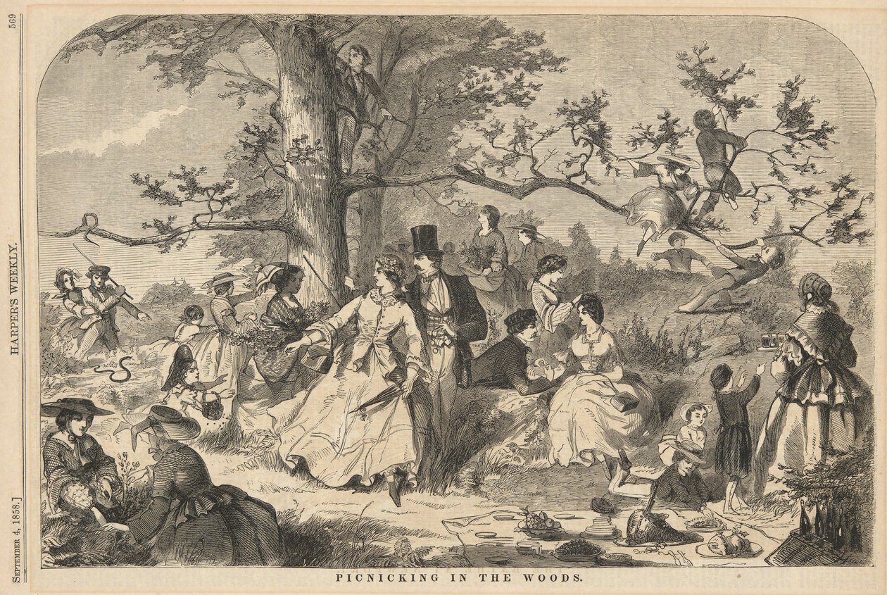 Picknicking na floresta, de Harper de Winslow Homer