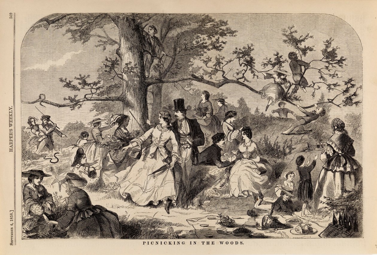 Picnicking in the Woods, de Harper