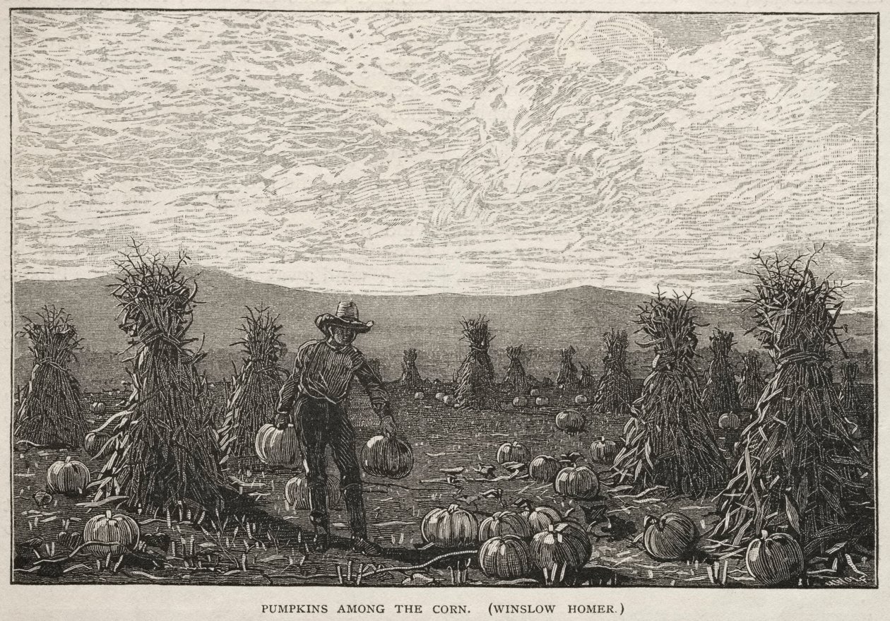 Abóboras entre o milho de Winslow Homer