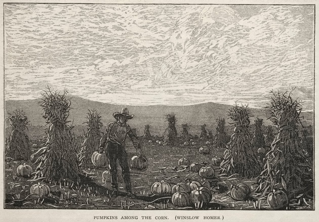 Abóboras entre o milho, 1878. de Winslow Homer