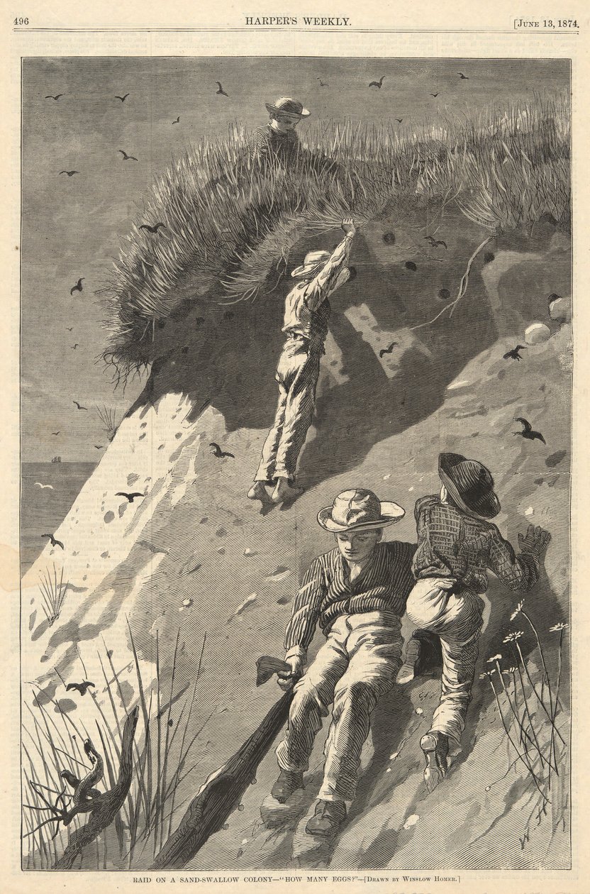 Ataque em uma colônia de andorinha de areia de Winslow Homer