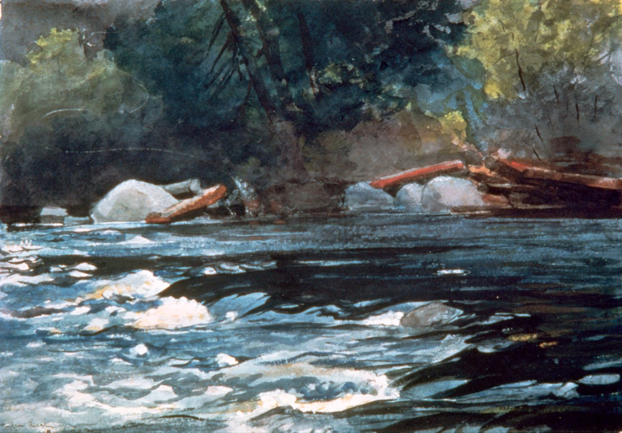 Rapids, Rio Hudson, 1894 de Winslow Homer