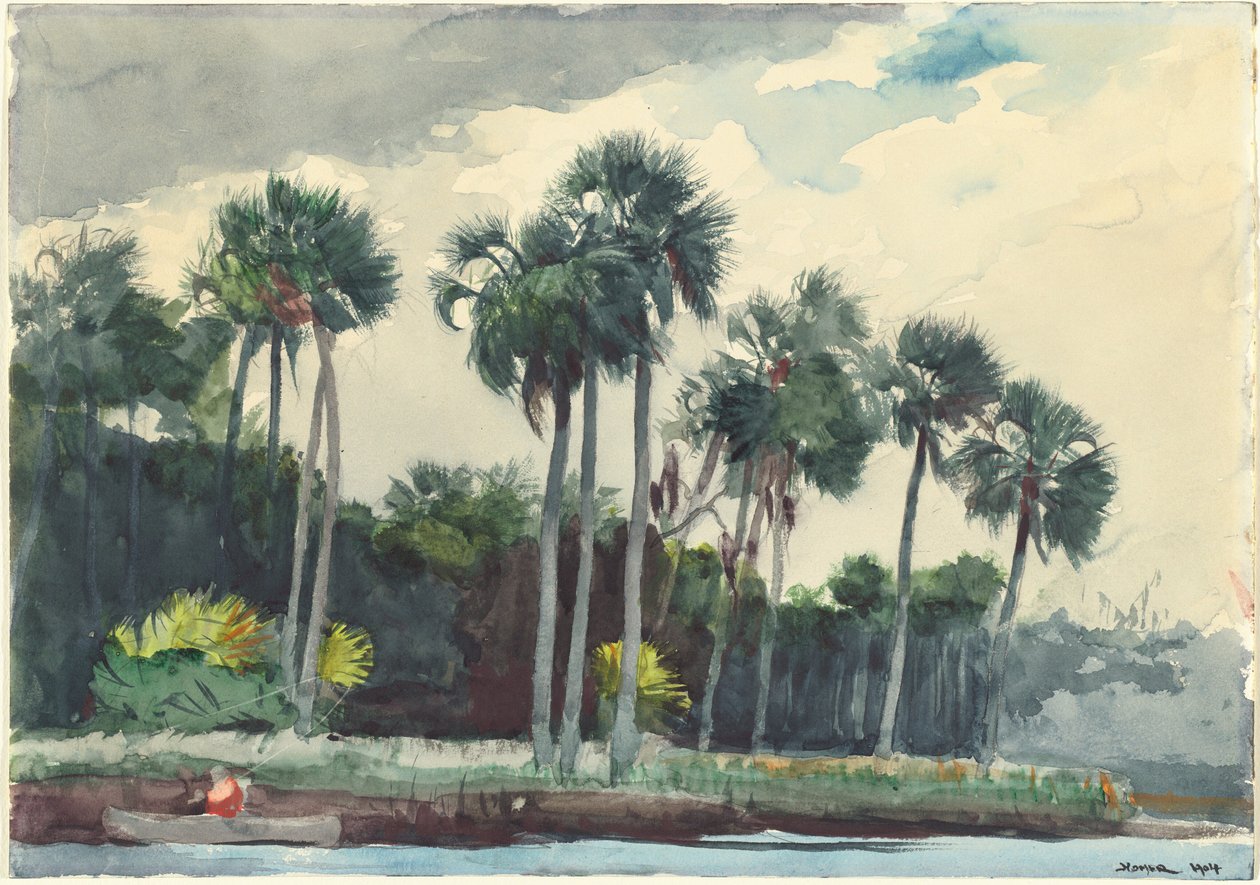Camisa Vermelha, Homosassa, Flórida de Winslow Homer