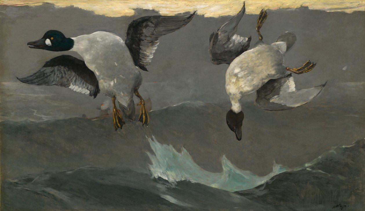 Direita esquerda de Winslow Homer