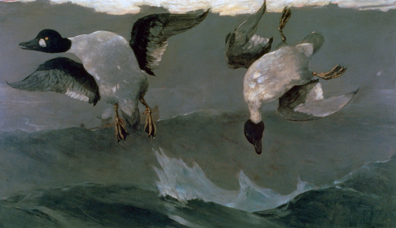 Direita e Esquerda, 1909 de Winslow Homer