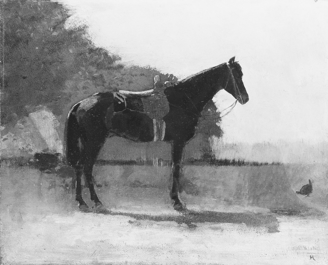 Cavalo de sela no pátio da quinta de Winslow Homer